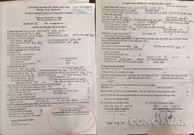 Cán bộ thuế, cán bộ địa chính xã Xương Lâm làm khống tờ khai thuế đứng tên ông Nguyễn Văn Hòa. Sau đó, tờ khai thuế được ông Dương Văn Nam xác định khống để chuyển cho cơ quan thuế Lạng Giang nhằm chuyển việc nộp thuế từ thửa đất 89 sang thửa đất số 244, tờ bản đồ 19.