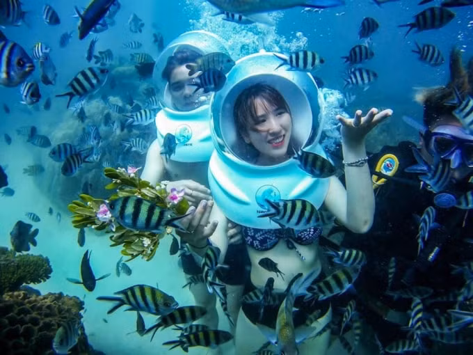 Intracom và Seaworld tiến hành thẩm định đầu tư.