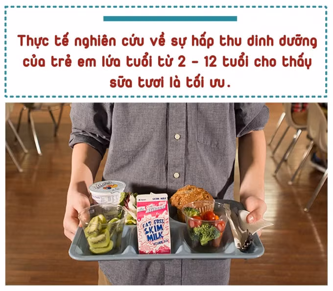 anh_05_smdl