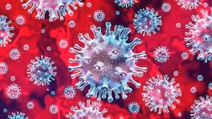 nguoi mac covid 19 co the phat tan virus tu 2 ngay truoc khi co trieu chung hinh 1