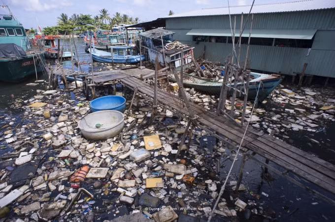 wwf viet nam keu goi nang cao trach nhiem va suc manh cua nguoi tieu dung doi voi viec giam thieu rac nhua hinh 3