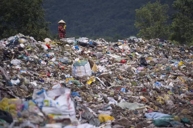 wwf viet nam keu goi nang cao trach nhiem va suc manh cua nguoi tieu dung doi voi viec giam thieu rac nhua hinh 2