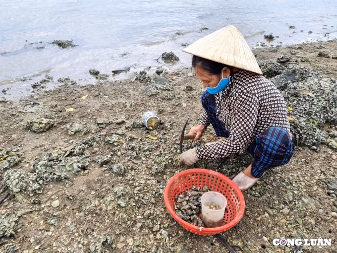 gian nan nghe duc hau noi cua song hinh 1