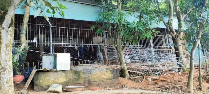 cam khe phu tho den bu chua thoa dang nhieu ho dan keu cuu hinh 1