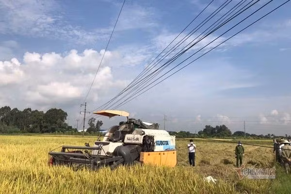 hai duong di gat ngoai ruong lua 2 nong dan bi dien giat tu vong hinh 1
