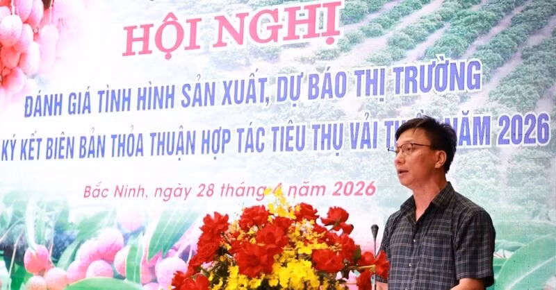 a-quang-08535242.jpg