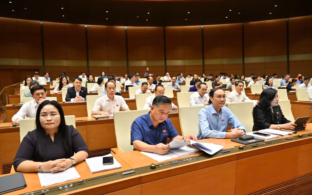 Các đại biểu tại phiên họp.