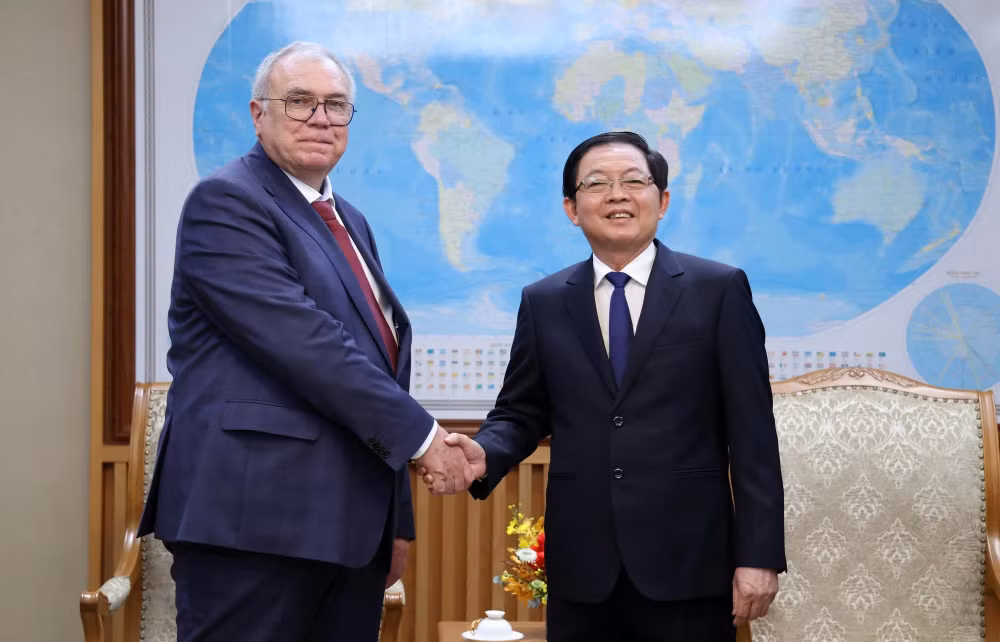Phó Thủ tướng Hồ Quốc Dũng tiếp lãnh đạo Cơ quan Năng lượng nguyên tử Quốc tế (IAEA)- Ảnh 1.