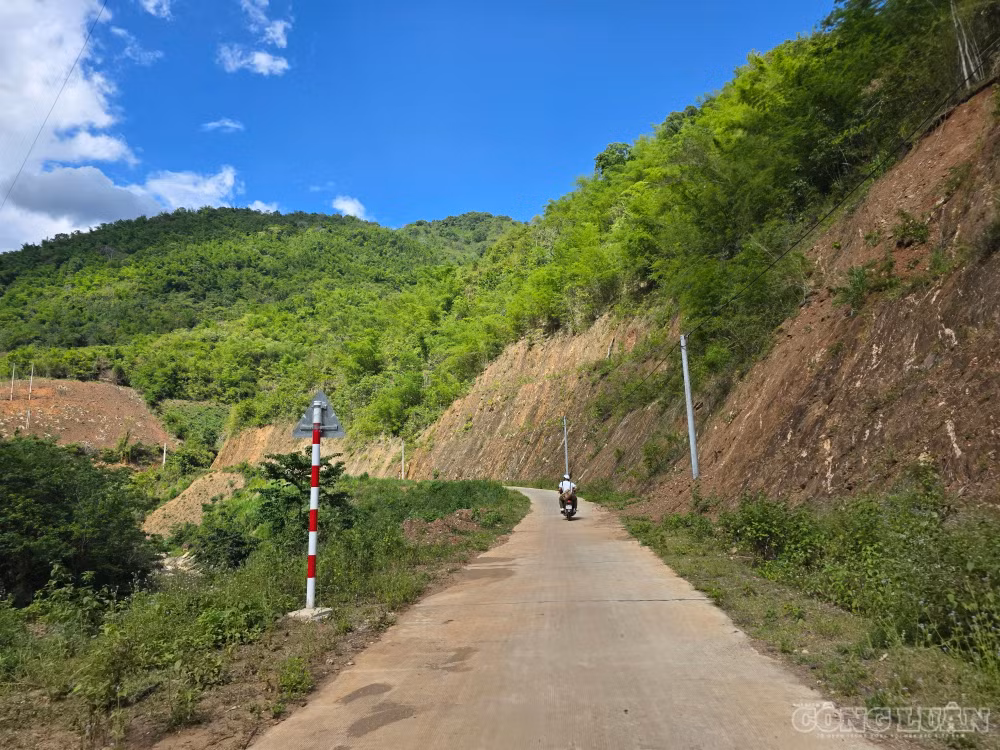 clo_br_1000029584.jpg