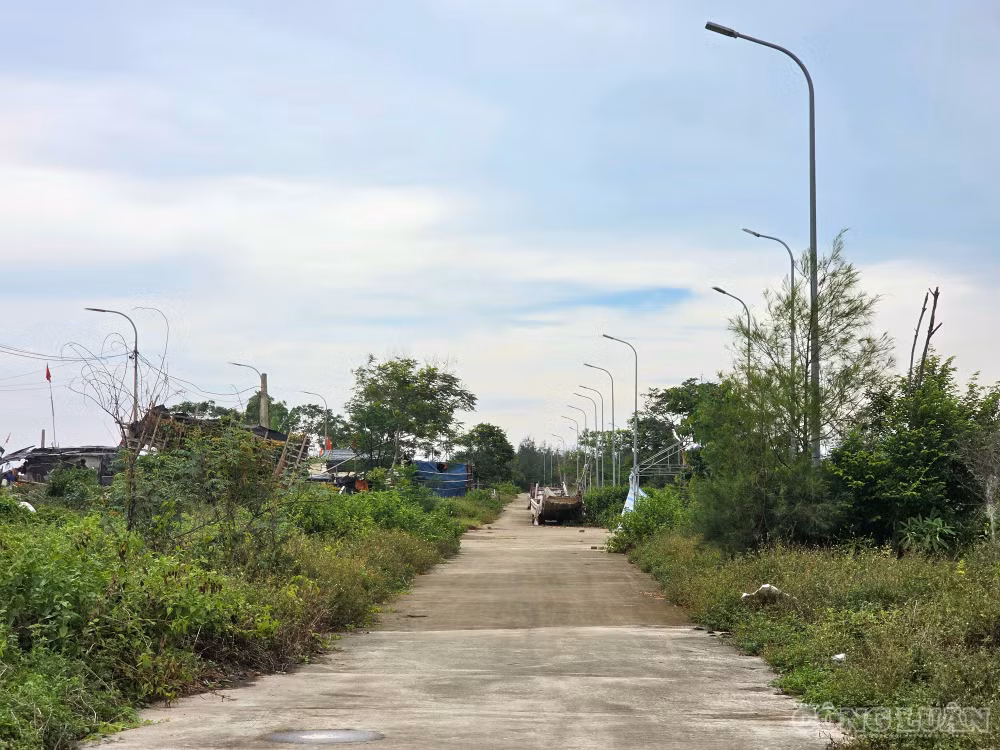 clo_br_1000033632.jpg