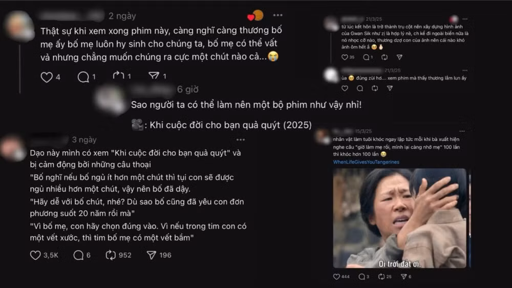 phim khi cuoc doi cho ban qua quyt nhan con mua loi khen cua khan gia hinh 4