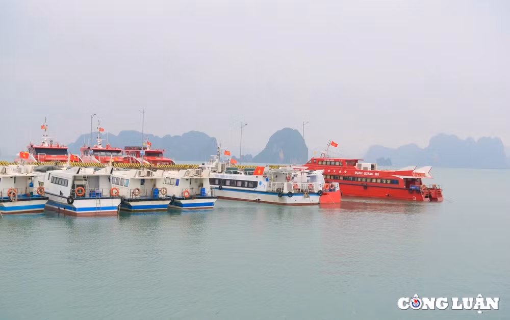 vinh bai tu long diem du lich ly tuong cho du khach quoc te hinh 4
