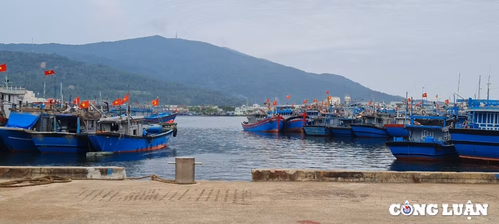 dau tu hon 23000 ty dong phat trien he thong cac cang bien da nang hinh 1