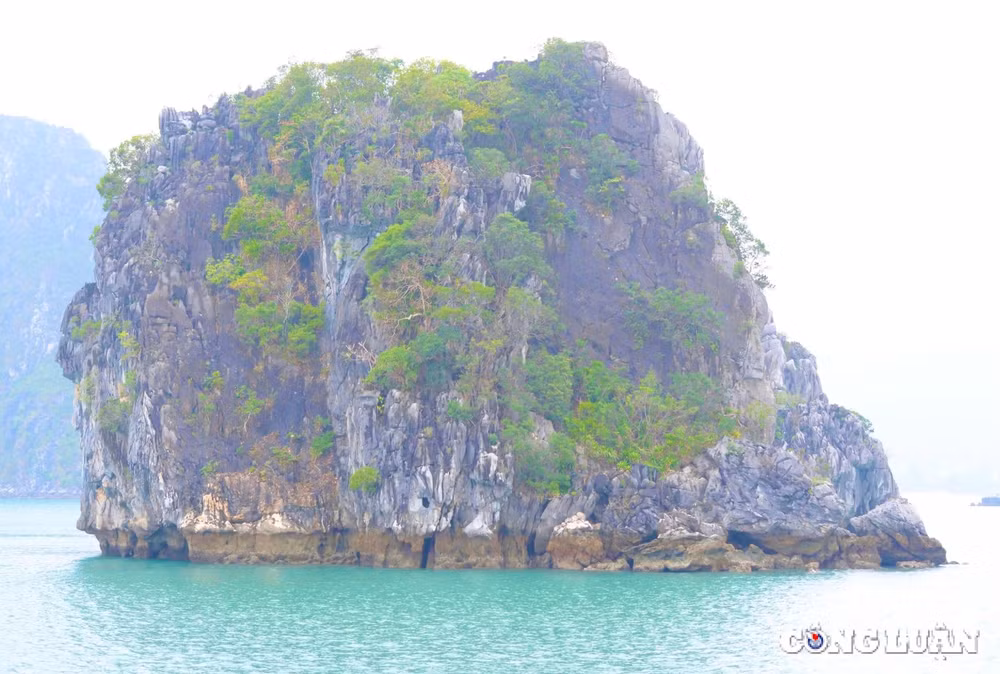 vinh bai tu long diem du lich ly tuong cho du khach quoc te hinh 8