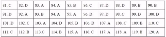 322-1597039316-width739height166-auto-crop