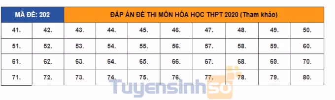 thi-hoa-ma-202-1514