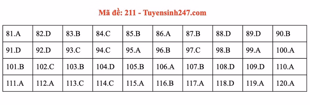 fullsizeoutput_18