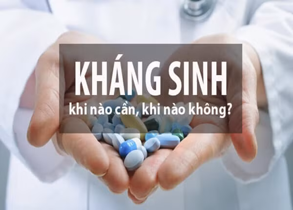tinh trang khang thuoc khang sinh tang cao hinh 1