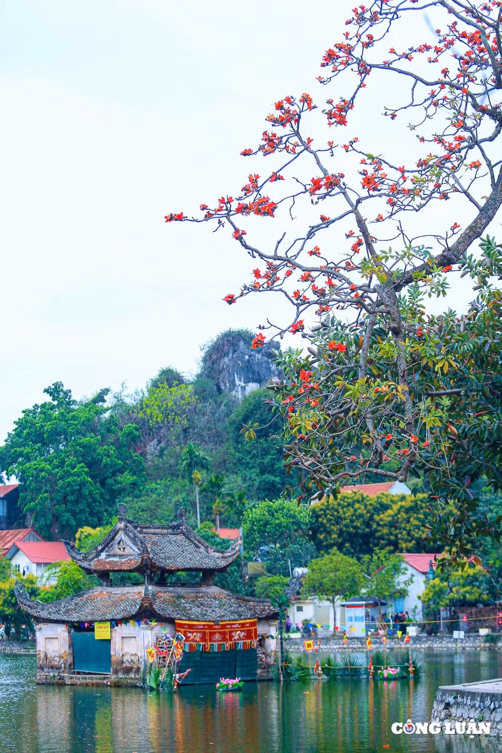 ruc ro sac do hoa gao o ngoi chua co ngoai thanh ha noi hinh 6