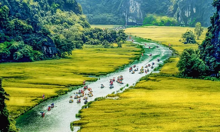 ninh binh du kien to chuc tuan le sac vang tam coc trang an nam 2025 trong 7 ngay hinh 1