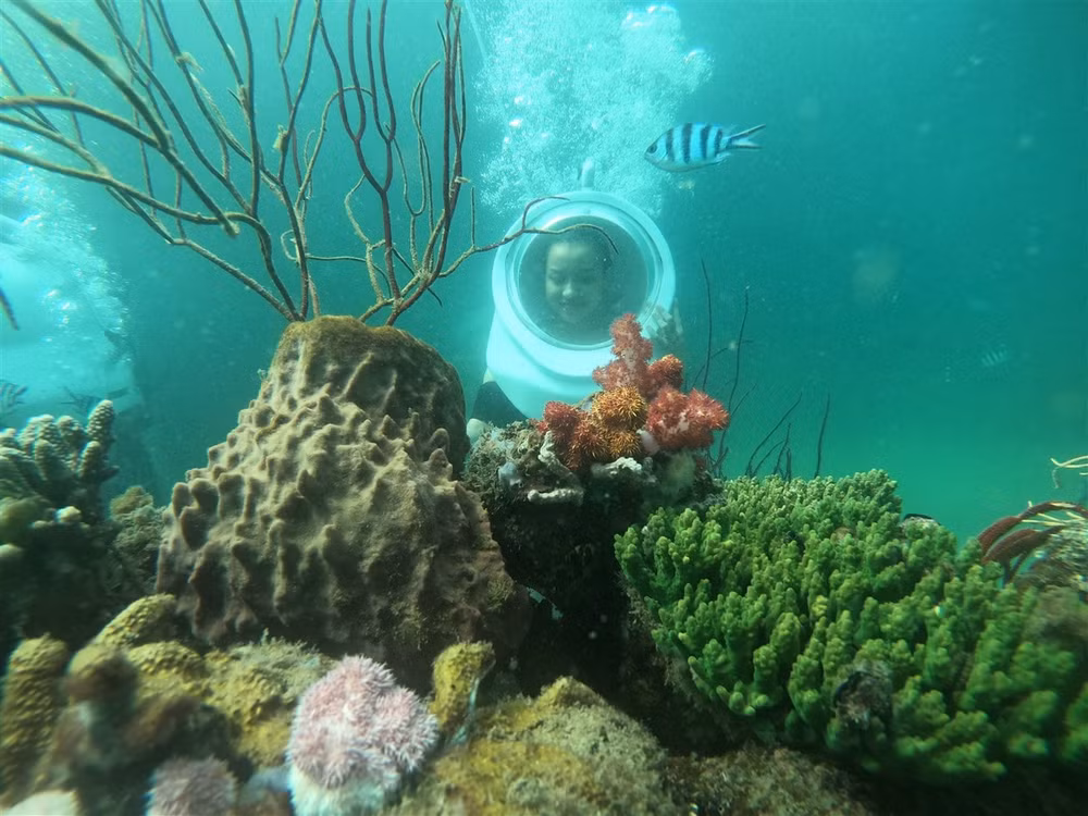 hanh trinh take me to sun world phu quoc nhung trai nghiem mua he soi dong tai dao thien duong hon thom hinh 2