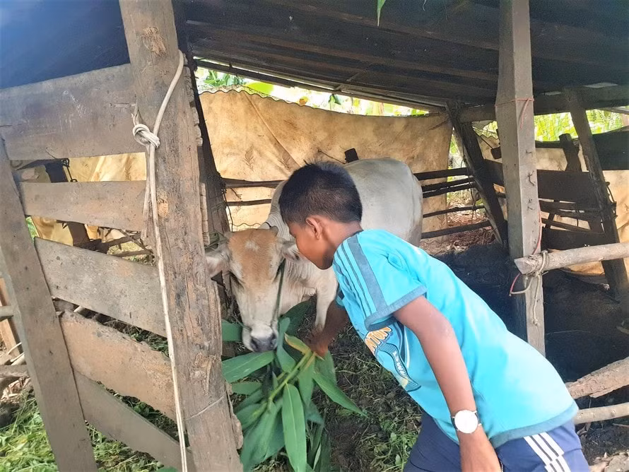 dak nong cach chuc hieu truong giu hoc ba cua tro ngheo hinh 1