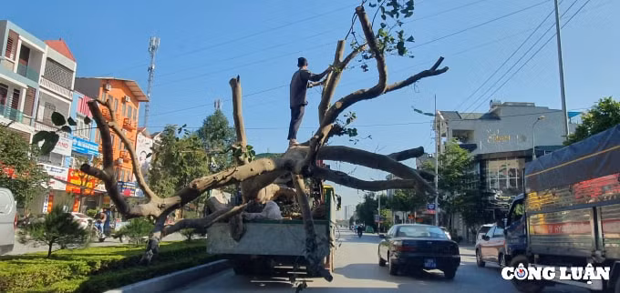 thanh hoa xe qua kho gay kho cho dan hinh 1