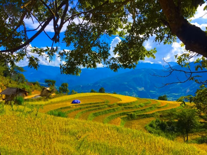 phat dong cuoc thi video clip dien bien trong toi nam 2021 hinh 1