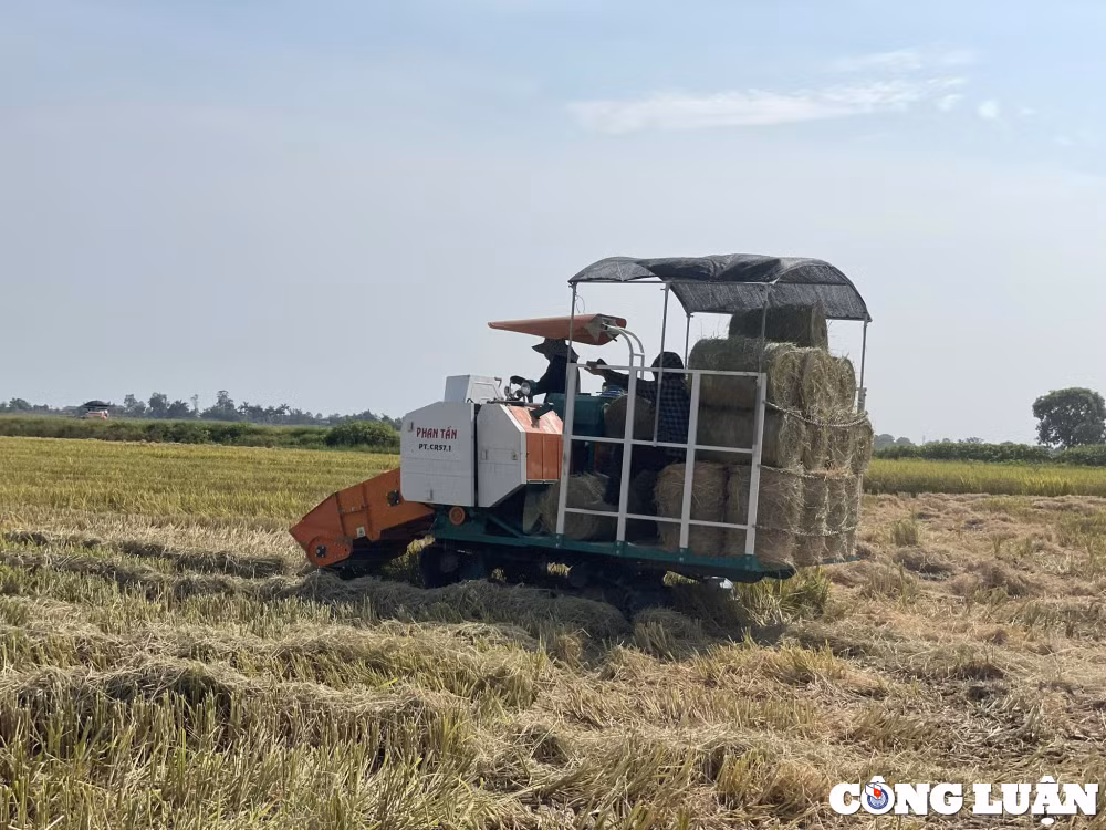 kiem tien trieu tu gom rom ra bang may tren cac canh dong hinh 2