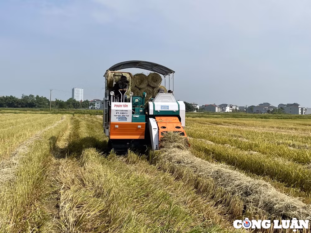 kiem tien trieu tu gom rom ra bang may tren cac canh dong hinh 1