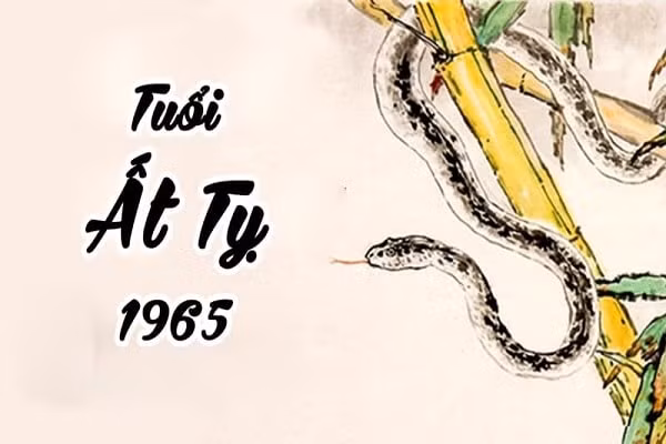 tu vi tuoi ty theo tung nam sinh hinh 2