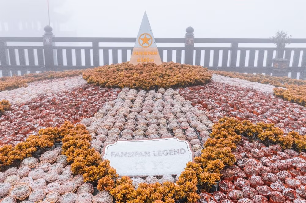 dep nhu troi au khung canh tuyet roi tai dinh fansipan sang 28 12 hinh 3