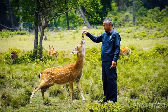 Ứng dụng công nghệ số quản lý, bảo vệ 'viên ngọc xanh' của đại ngàn Gia Lai