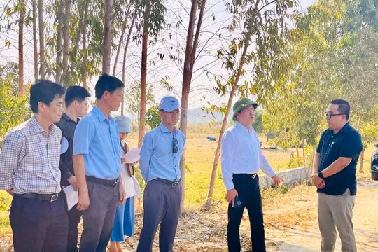 Gia Lai: Chấp thuận chủ trương đầu tư dự án chăn nuôi heo công nghệ cao hơn 3.000 tỷ đồng