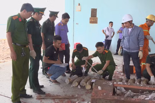 Khởi tố vụ án buôn lậu hơn 1 tấn ngà voi và xương động vật quý hiếm tại cảng Quy Nhơn
