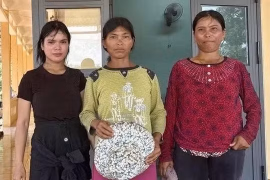 Gia Lai: Đã tìm thấy người phụ nữ mất liên lạc nhiều ngày với gia đình