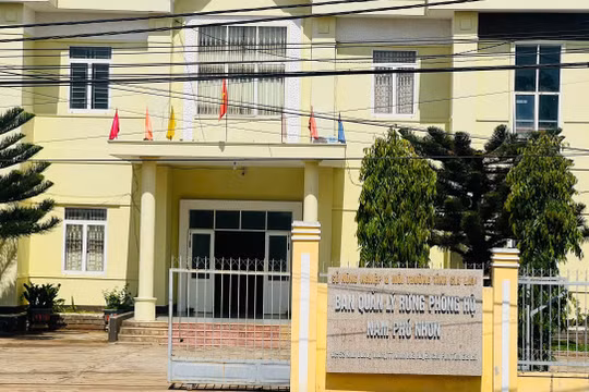 Hợp nhất 29 ban quản lý rừng phòng hộ ở Gia Lai