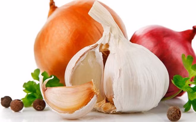 Hành tây, tỏi và tỏi tây