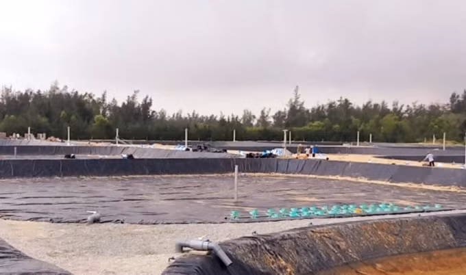 Công ty Cổ phần Xây dựng Tiến Đạt vẫn chây ì thực hiện quyết định xử phạt của UBND tỉnh Hà Tĩnh và cho một đơn vị khác thuê hạ tầng ao nuôi để tiếp tục sản xuất (Ảnh PV)
