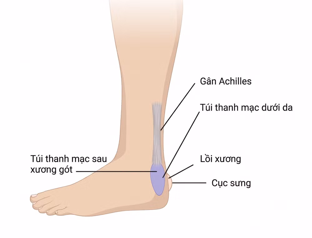 anh-1a.jpg