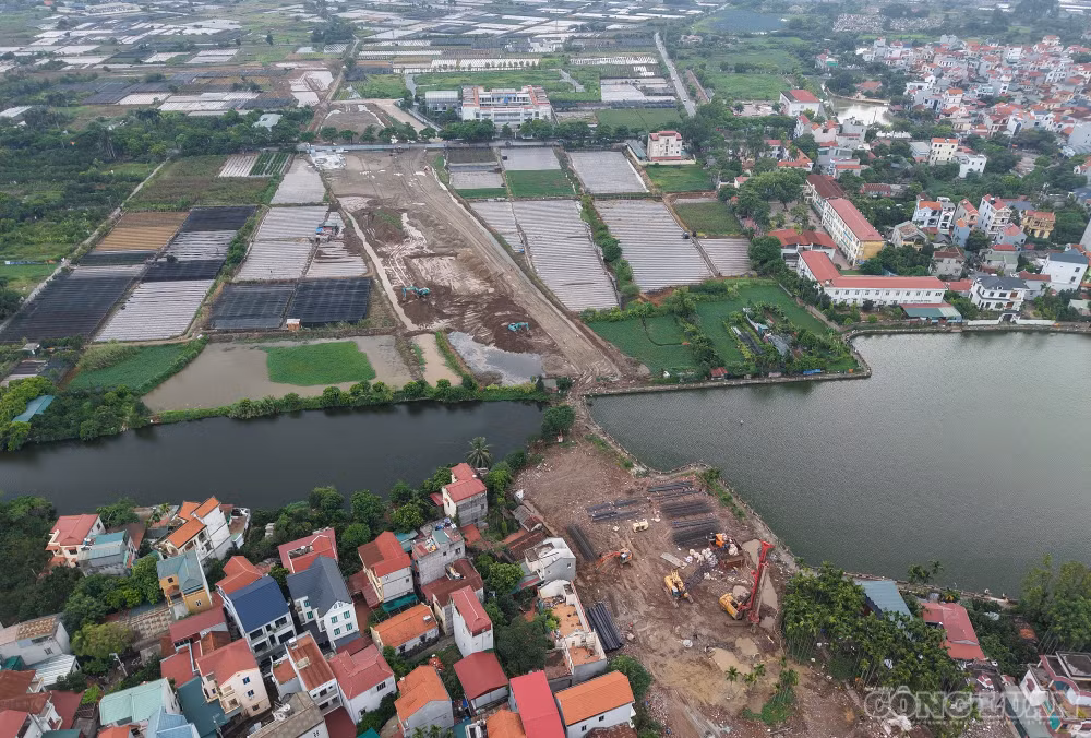 clo_br_dji-20260814153943-0359-d.jpg
