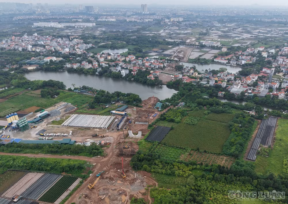 clo_br_dji-20260814154300-0379-d.jpg