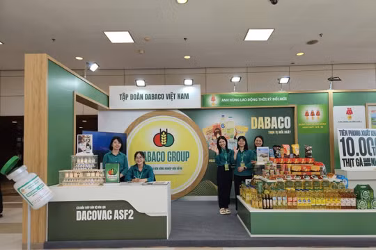 Người nhà thành viên Ban kiểm soát Dabaco (DBC) muốn mua thêm cổ phiếu khi thị giá giảm, lợi nhuận quý I/2026 đi lùi
