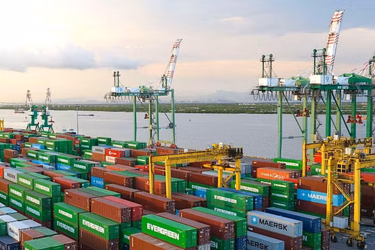 Phó Tổng Giám đốc Viconship (VSC) muốn mua thêm cổ phiếu trong khi lợi nhuận quý I giảm hơn 37%