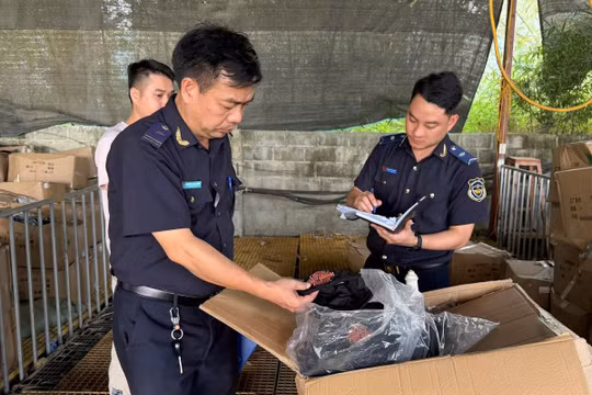 Mở cao điểm chống hàng giả, vi phạm sở hữu trí tuệ: Không có vùng cấm, không có ngoại lệ