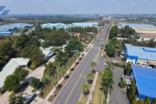 Sonadezi Giang Điền (SZG) biến động nhân sự cấp cao ngay sau đợt trả cổ tức gần 110 tỷ đồng