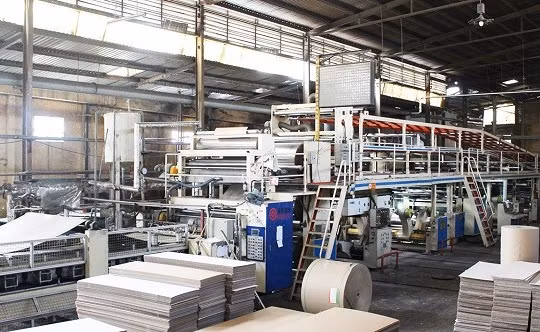 Giấy Việt Trì (GVT) chi gần 35 tỷ đồng trả cổ tức, lợi nhuận năm 2025 tăng gần 78%