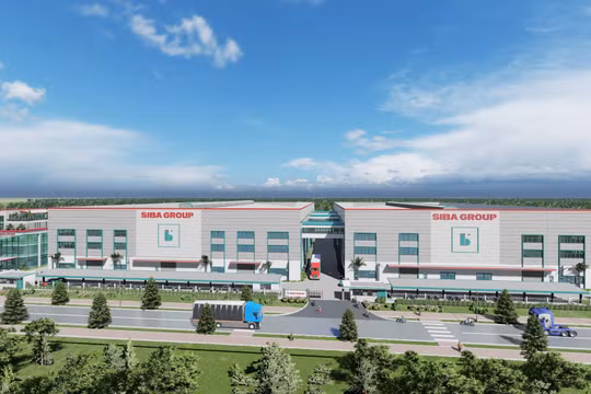 Siba Group (SBG) muốn huy động 200 tỷ đồng qua phát hành riêng lẻ, dành phần lớn để trả nợ nhà cung cấp