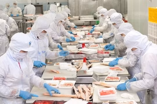 Nam Việt (ANV) lãi quý II giảm gần 60%, dòng tiền kinh doanh âm hơn 130 tỷ đồng