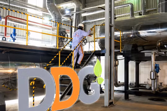 Xuất nhập khẩu Đông Dương (DDG) tổ chức ĐHĐCĐ bất thành, quý I/2026 lỗ gần 87 tỷ đồng